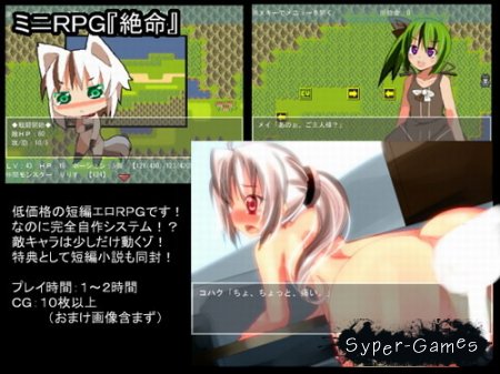 Mini RPG (2012/JP/PC)