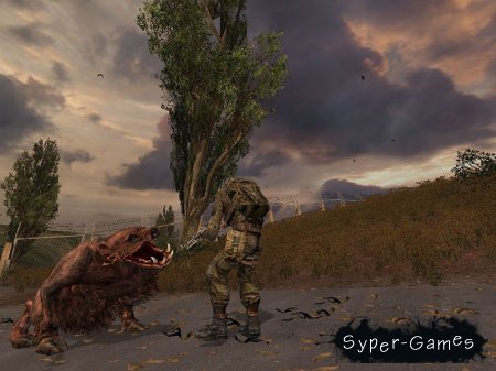 S.T.A.L.K.E.R.:   - ׸  3 (RePack/2012/RUS)