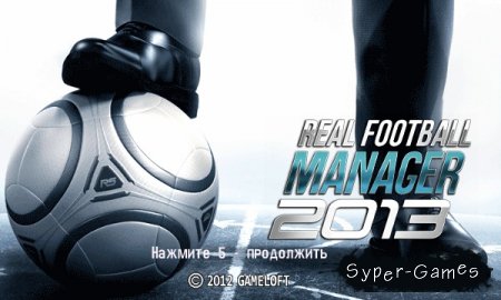 Real Football Manager 2013 (Java)