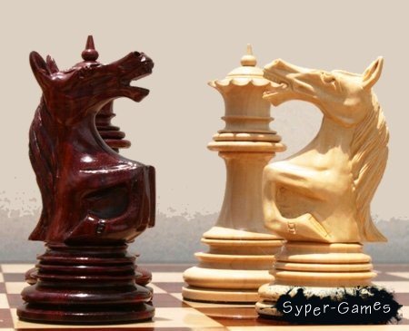 Мультимедиа шахматы для детей и не только (2002) PC