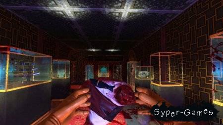 Viscera Cleanup Detail: Shadow Warrior (2013)