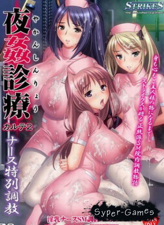 Yakan Shinryou Karte 2 (2012)
